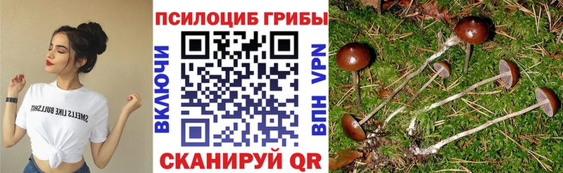 купить наркоту  Шелехов  Псилоцибиновые грибы мухоморы 